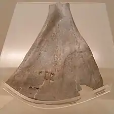 Oracle sur omoplate, Musée de Shanghaï.