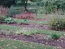 Photographie de plates-bandes du jardin botanique d'Oxford