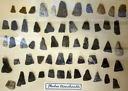 Pointes de flèches tranchantes trouvées sur l'île.