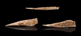 Alênes datant du Paléolithique, muséum de Toulouse.