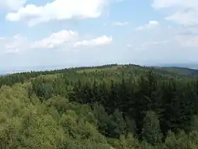 Depuis le belvédère de l'Írott-kő : la bande plus claire de bouleaux marque la frontière austro-hongroise autrefois déboisée.