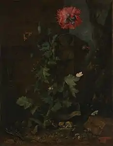 Nature morte avec coquelicot, vers 1670Metropolitan Museum of Art