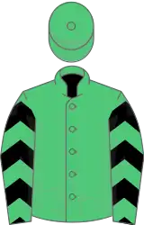 Emerald green, black chevrons on sleeves