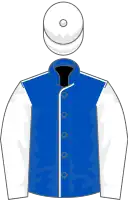 Royal blue, white seams, sleeves and cap