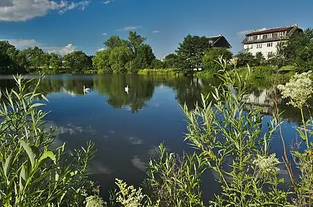 Zone naturelle des prairies de Nivské.