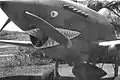 Un Curtiss P-40 Warhawk du 29e escadron de chasse sur la base de l’armée de terre de Madden en mai 1942.