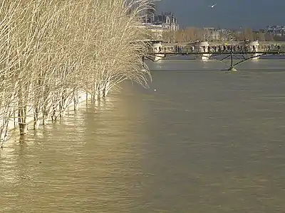 Crue de janvier 2018, du côté du pont des Arts.