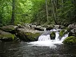 Lazovsky Zapovednik
