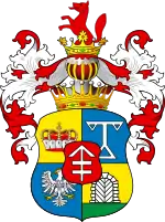 Image illustrative de l’article Famille Iliński