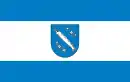 Drapeau de Rybnik