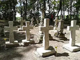 Wierzbica (Tomaszów Lubelski)