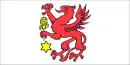 Drapeau de Wolin
