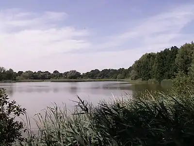 Réserve naturelle Velký Pavlovice.