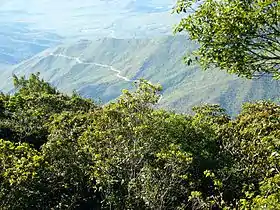 Curimagua (paroisse civile)