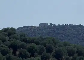 Image illustrative de l’article Tino di Moscona