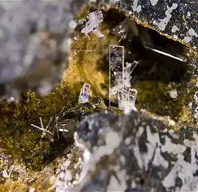 Paralaurionite - Grèce -(vue 0,6 × 0,5 cm).