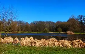 Image illustrative de l’article Parc des Gayeulles