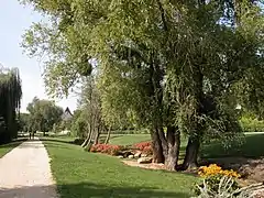 Les jardins d'Aguilar.