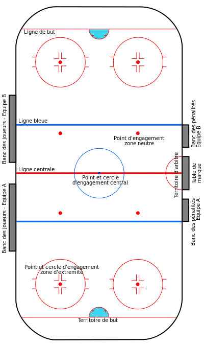 Représentation schématique d’une patinoire de hockey vue de dessus.