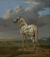 Le Cheval pie (1650-1654), J. Paul Getty Museum, Los Angeles, Californie.