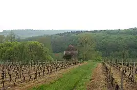 Image illustrative de l’article Saône-et-loire (IGP)