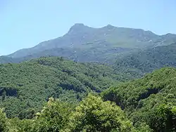 La vallée de l'Ampugnani et le sommet du San Petrone.