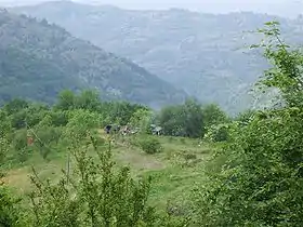 Javorje (Vlasotince)