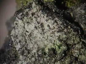 Image illustrative de l’article Périclase