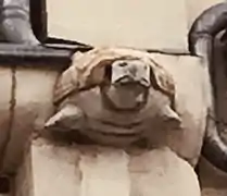 Pharmacie Dieu-Lumière tortue