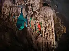 Parc national de Phong Nha-Kẻ Bàng
