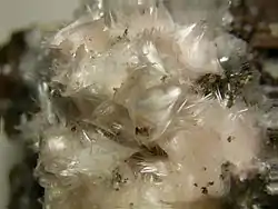 Image illustrative de l’article Pickeringite