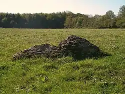 Le menhir néolithique de « la Pierre Tournante ».