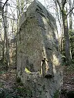 Le menhir de la Pierre Piquée.