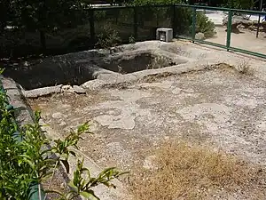 Cuve vinaire rupestre à Tel-Aviv