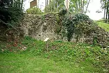 Vue d'un mur en petit appareil partiellement noyé dans la végétation.