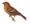 icône décorative