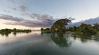 Pirogue filant sur le Mékong devant une île hébergeant un Samanea saman (arbre à pluie) et d'autres arbres, au coucher du soleil avec des nuages roses, vus depuis Don Det, Si Phan Don, Laos. Décembre 2021.