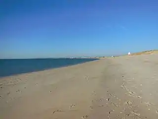 Plage grande falaise à La Turballe, dans l'ouest.