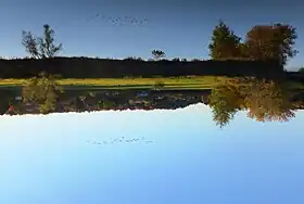 Plaine alluviale en face du village de Roxton Falls le long de la Rivière Noire fin septembre 2013