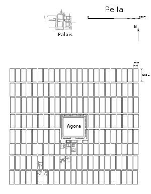 Plan schématique de Pella.