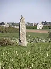 Le menhir d'Irvit.