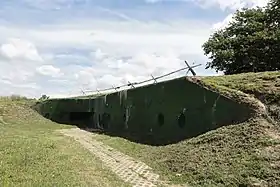 Pniewo (Międzyrzecz)