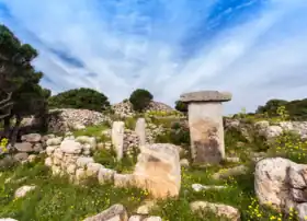Taula de sa Ciuda Cremada