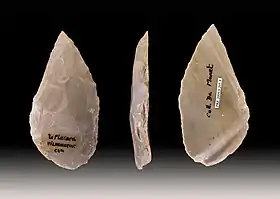 Pointe Moustérienne retrouvée à la Grotte du Placard(collection Muséum de Toulouse)