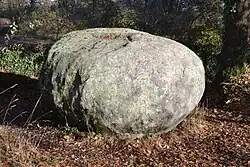 Image illustrative de l’article Pierre des Farfadets (Le Poiré-sur-Vie)