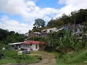 Poirier (Rivière-Pilote)