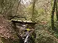 Un petit pont de bois.