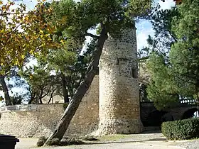 Chateau de Popian