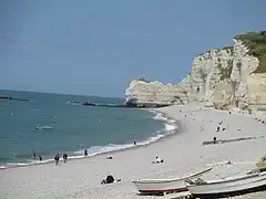 La falaise d'Amont et les chicots rocheux au large.