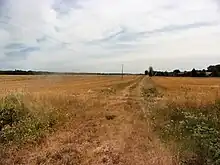 Photographie en couleurs d'un chemin herbeux surélevé par rapport aux champs qui le bordent;